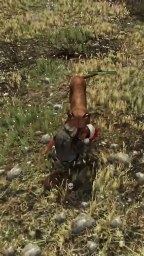 How To Become Cougar Chow In A Few Simple Steps 🤣 #survivalgame #multiplayer