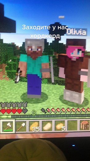 Exploring Minecraft Inventory and Gameplay Features