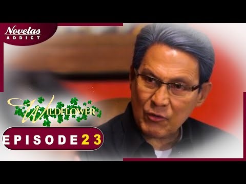 FLEUR SAUVAGE - Episode 23 - Novelas Complete en Francais