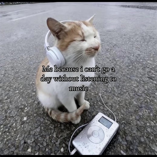 #real #music #allday #ilymusic #musicreal | music