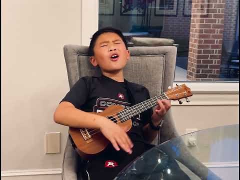 Billionaire Bruno Mars Ukulele #brunomars #billionaire
