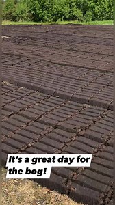 2.1K views · 36 reactions | How to dry turf my way! I’ve had many requests to see more about how we harvest the turf. Well I took a little trip to the bog to check on the new cut ☘️ | Gifts of Ireland | Facebook