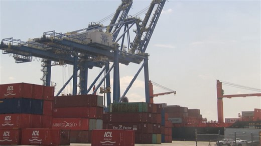 ‘Potential for irrevocable damage’: Wilmington Harbor 403 expansion project raises environmental concerns