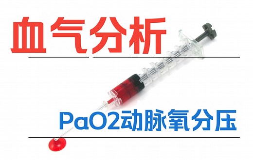 血气分析-动脉氧分压（只用PaO2就可以鉴别低氧的病因，让带教老师看到他的差距）暴虐带教老师系列