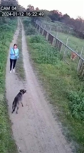 won't believe what this dog did!