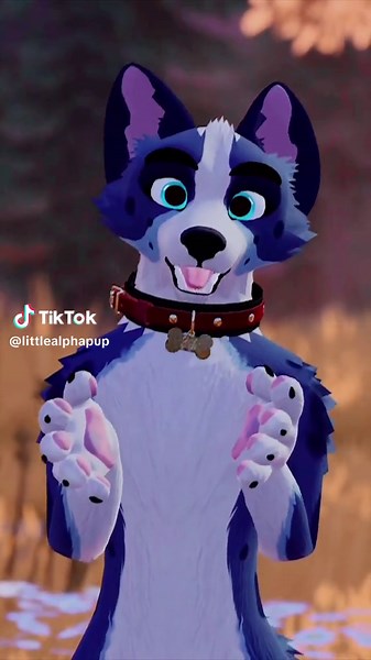 A good reminder for you 🫶🏻 #fur #furry #furryfandom #littlealphapup #milothetherapydog
