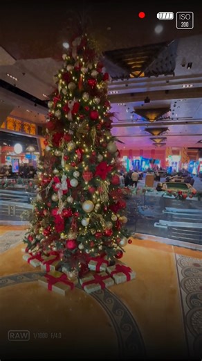 12K views · 120 reactions | Uh oh… Mac the Elf has been caught snooping in the gift stash again!  And trust us—you’ll want to peek too! Our giveaways start right here on Monday! Get ready for some seriously merry surprises! ✨ | Hollywood Casino at Charles Town Races | Facebook