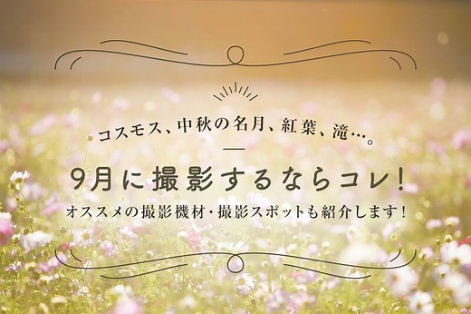 9月の撮影にオススメな被写体10選（撮影イベントも紹介します！）