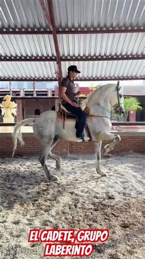 The cadet, Labyrinth Group