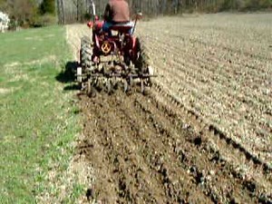 Farmall Cub, Chisel Plow Cultivator 2010