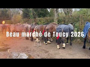 Toucy Beautiful Market Fair 2026