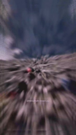 Mengingat tragedi letusan Gunung merapi pada 2023 #pendaki #gunung #Indonesia #semeru #ranukumbolo #merapi #marapi | Ajeng Jamalulael