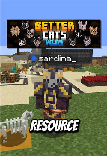Best Minecraft Cats Texture Pack for a Unique Experience