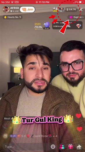 Exploring the Power of Wali Army