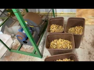 Thomson 3C sheller Dust control system used at Pecan Lane