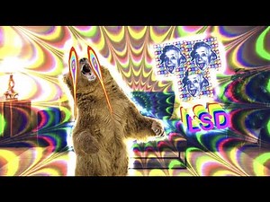 The Best/Worst Acid Trip I've Ever Had. (Storytime)