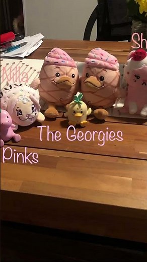 Moriah Elizabeth merch collection so far!🎀💗✨