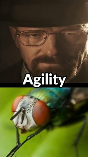 Walter white vs FLY #breakingbad