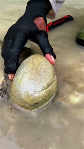 Nobody Expected This Inside The Green Crystal…