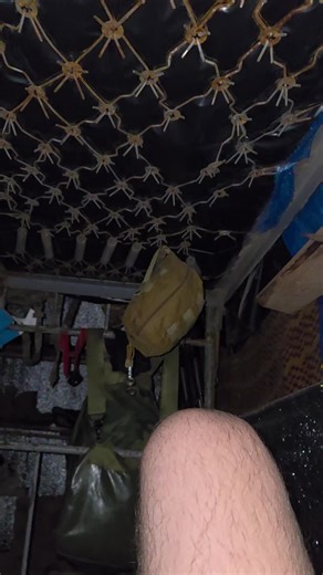 Виховання собаки з пікселем: поради та техніки