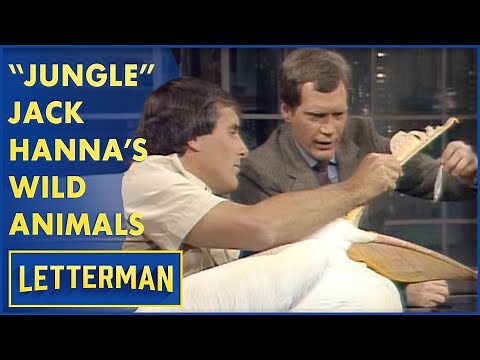 Jack Hanna Brings Dave A Pygmy Hippo, Cockroaches And More | Letterman