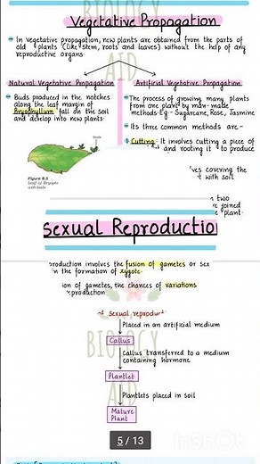 How do organisms reproduce l Biology chap- 8 l Full notes l class 10th #education #study #inaya_S_G