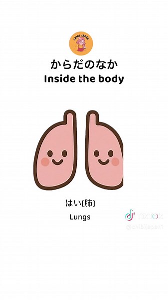体の中 からだのなか What‘s inside the body? #japanese All levels
