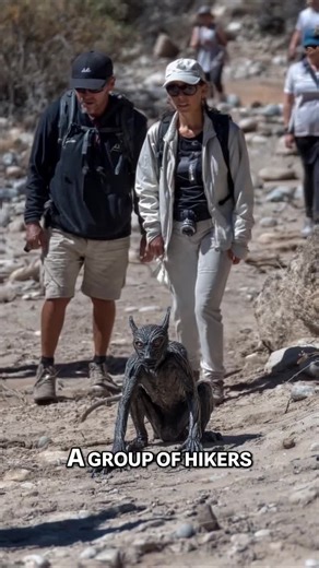 Shocking Chupacabra Sighting in Mexico Caught on Camera