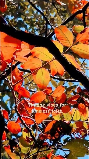 Retro hearts in a modern world #shorts #ytshorts #shortvideo