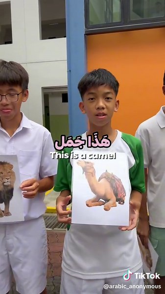 Master Arabic Animal Names with These Engaging Students