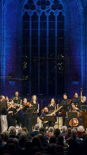A moment of rest with Telemann. ❤️🎵 #telemann #concert #baroque