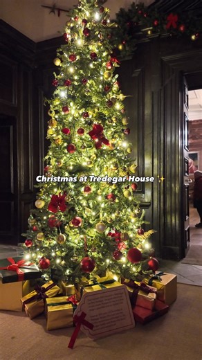 Step into 500 years of Christmas at Tredegar House🎄✨ Twinkling lights, over 80 trees, and the stories of how the Morgan family—and later St Joseph’s—celebrated the festive season from Tudor times to the 1950s. A journey through centuries of changing traditions and pure Christmas magic. #visitwales #croesocymru #wales #cymru #hwyl #feelthehwyl #nationaltrust #ntwales #ntcymru | Wales