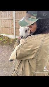 10K views · 790 reactions | Meet Charlotte 癩 | My Pets Palace | Facebook