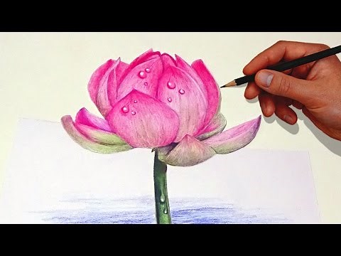 Drawing A Lotus Flower With Simple Colored Pencils |