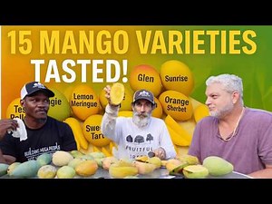 Mango Tasting 2025 with The Orlando Gardener! Mango Taste Test Before the Big Event!