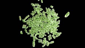 clip-1009685831-virus-growth-beautiful-3d-animation-depth-field