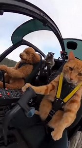 From four wheels to rotor blades. Same crew, higher altitude 🚁😼🔥 #DailyJam #AnimalUpgrade #AerialVibes #NextLevel | Jupiterstarco