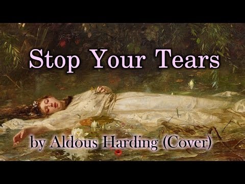 Stop Your Tears by Aldous Harding (Cover)