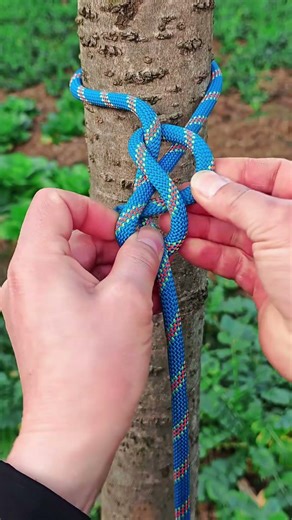 Figure eight knot tying method