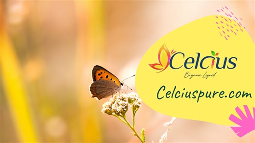 Best Dog Ear Cleaner (2026) – Vet-Approved Picks for Infections, Wax & Odor