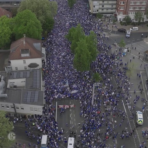 DIE BESTEN FANS DER WELT!! 💙🤯#S04 | #S04F95