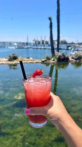 More play, less hassle! 🌴 Enjoy our all-in-one Park & Play rate—parking and resort fees included. #sandiego missionbaysandiego #sandiegocalifornia #sandiegovacation #visitsd #traveltuesday | Paradise Point Resort & Spa