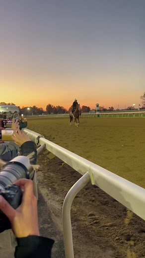 Exciting Moments at Breeders' Cup with Jack Christopher and Flightline