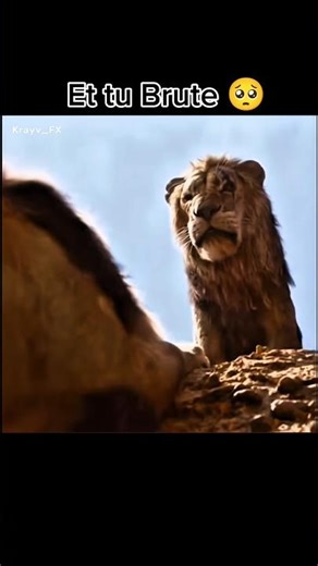 The saddest 30 seconds in history... 🦁💔 #shorts #sad #krayv_fx #LionKing
