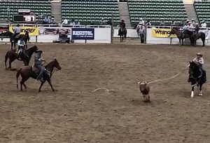 3.9K views · 104 reactions | Two of our very own struck gold today in Reno at the ACTRA Finals! Katie Rice & Dustin Noblitt won the Directors & Sponsors roping.#firstswing #teamcactus | Cactus Ropes | Facebook