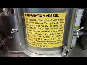 Malting Barley - Germination