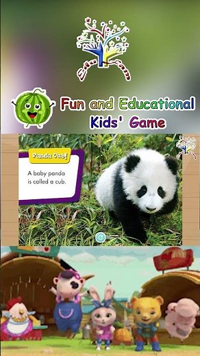 🐼🎋 Baby Pandas! | Meet the Roly-Poly Cubs! | Animal Safari ⛰️✨