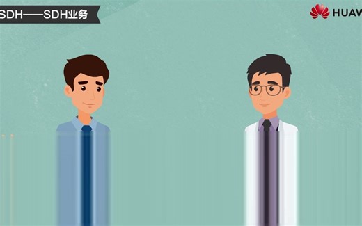 2.4. SDH业务介绍