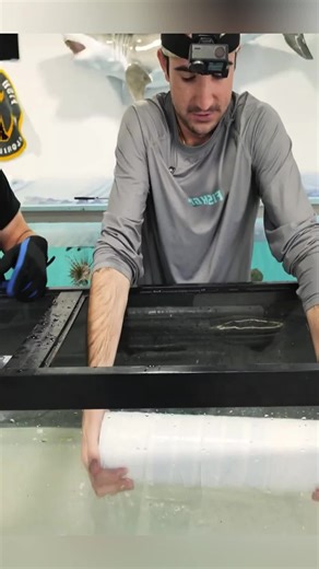 Buying an Abandoned Shark and Transforming Its Home! Part 3 #thefishguys #fishing #vlogs #foryou