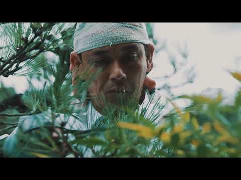 Pine Pruning at Jizo Temple